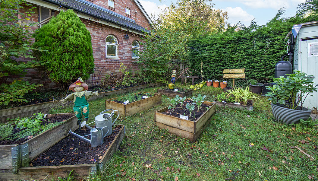 Clairmont Day Nursery and Preschool - Garden Vegatable patch